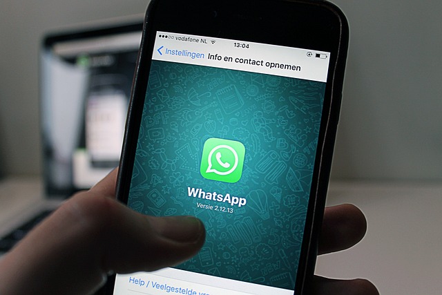 WhatsApp云控群控是什么？