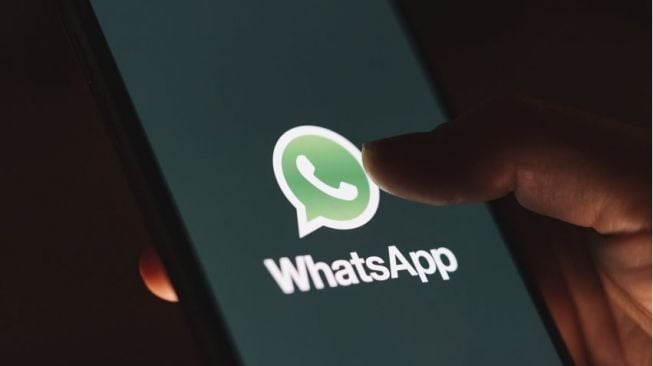 WhatsApp群发有什么用途？WhatsApp群发的优势